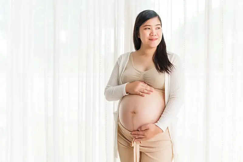 Surrogacy Process